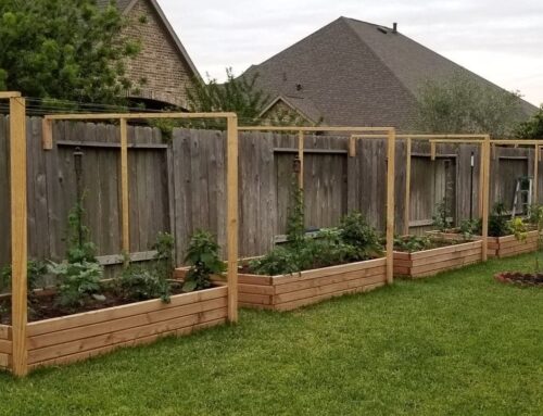 Raised Garden Bed Installation in Houston Texas — Rooted Garden