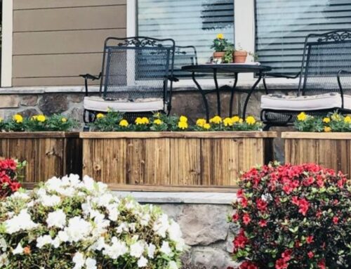 Before You Buy a Planter Box at Lowes …