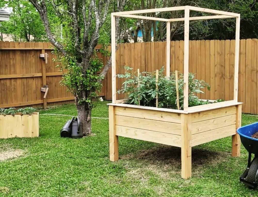The Advantages of Using Douglas Fir for Garden Bed Builds